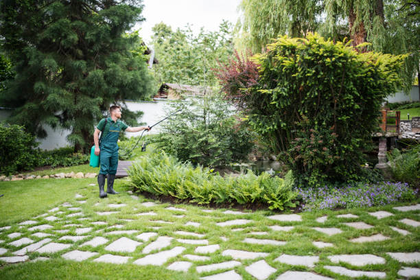 Best Hazardous Tree Removal  in Norwalk, CA